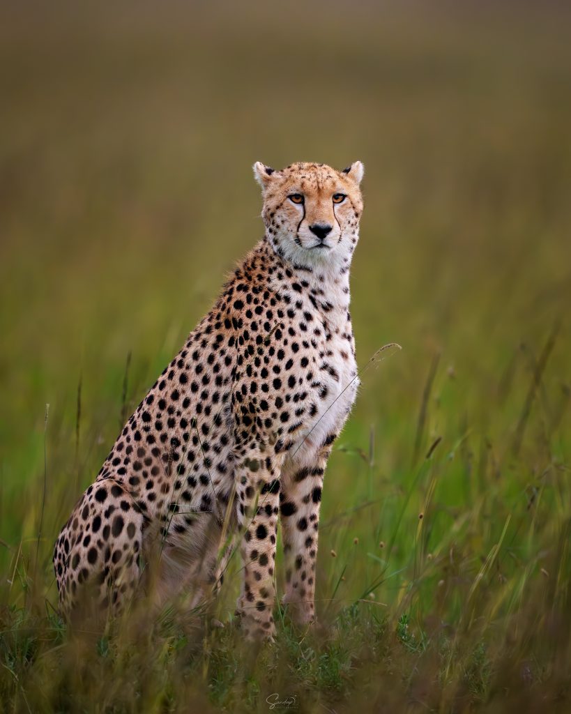 DSC05836-Edit-2