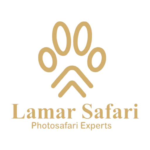 Lamar Safari