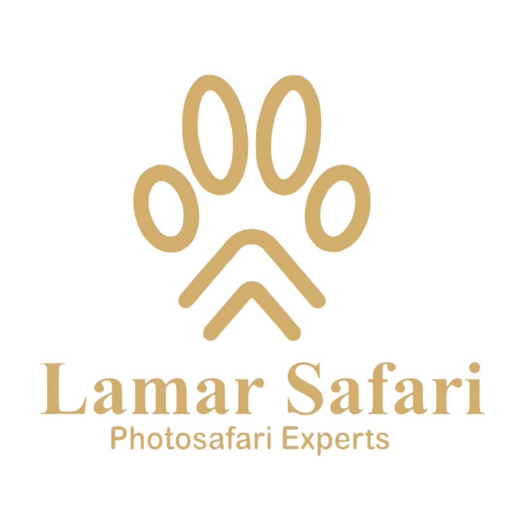 Lamar Safari